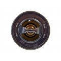 TERMOSTAT