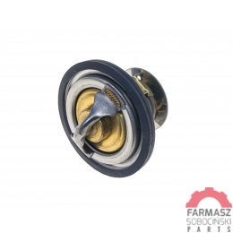 TERMOSTAT